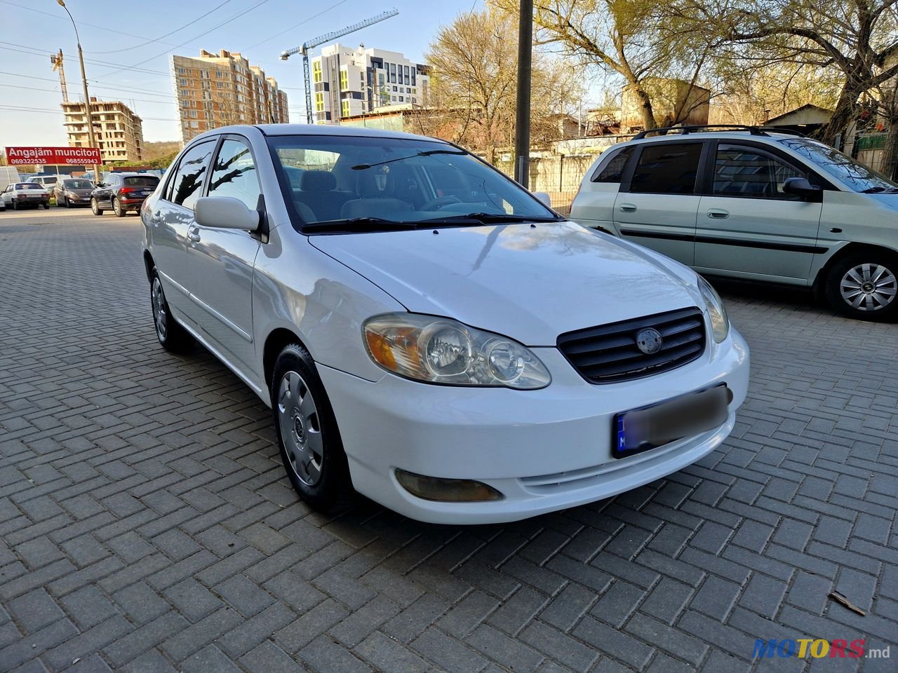 2007' Toyota Corolla photo #1