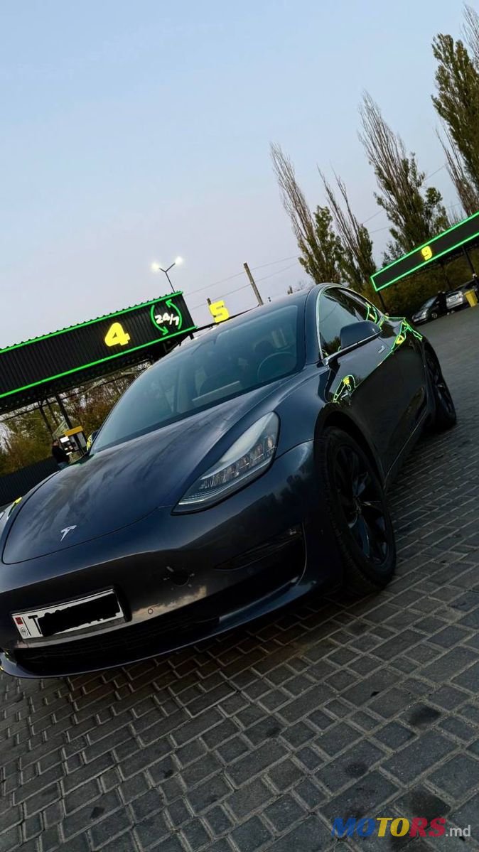 2019' Tesla Model 3 photo #1
