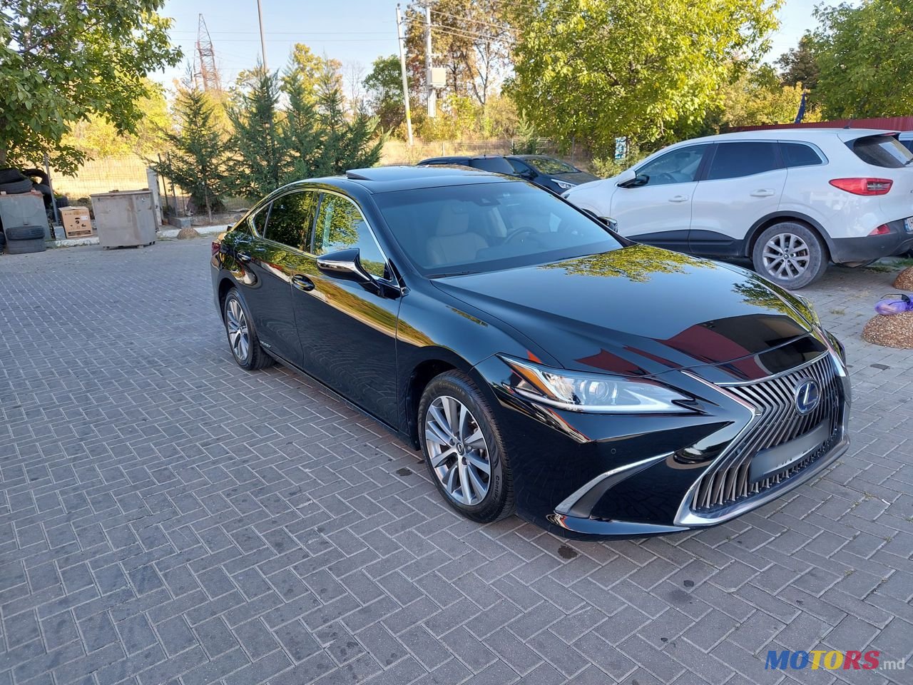 2020' Lexus Es Series photo #1