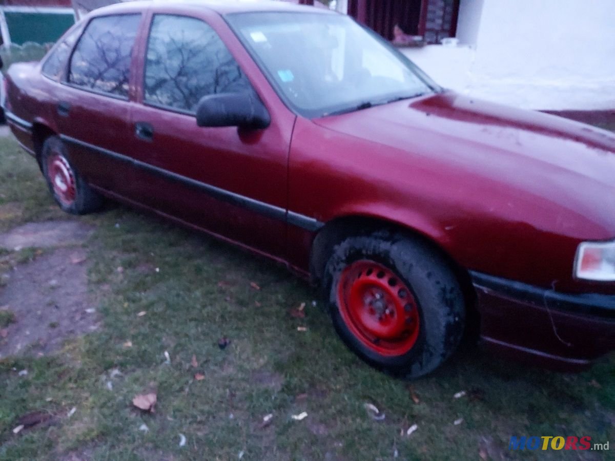 1994' Opel Vectra photo #4