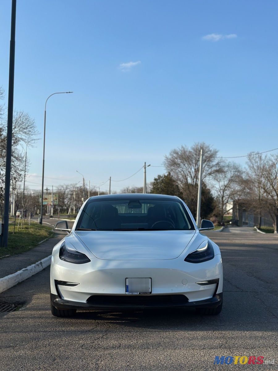 2019' Tesla Model 3 photo #2