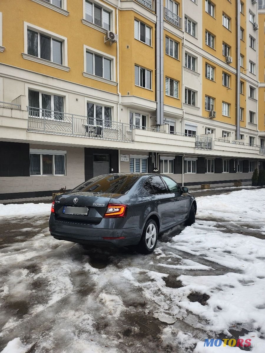 2017' Skoda Octavia photo #3
