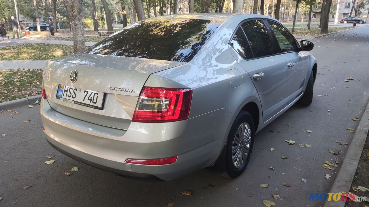 2013' Skoda Octavia photo #3