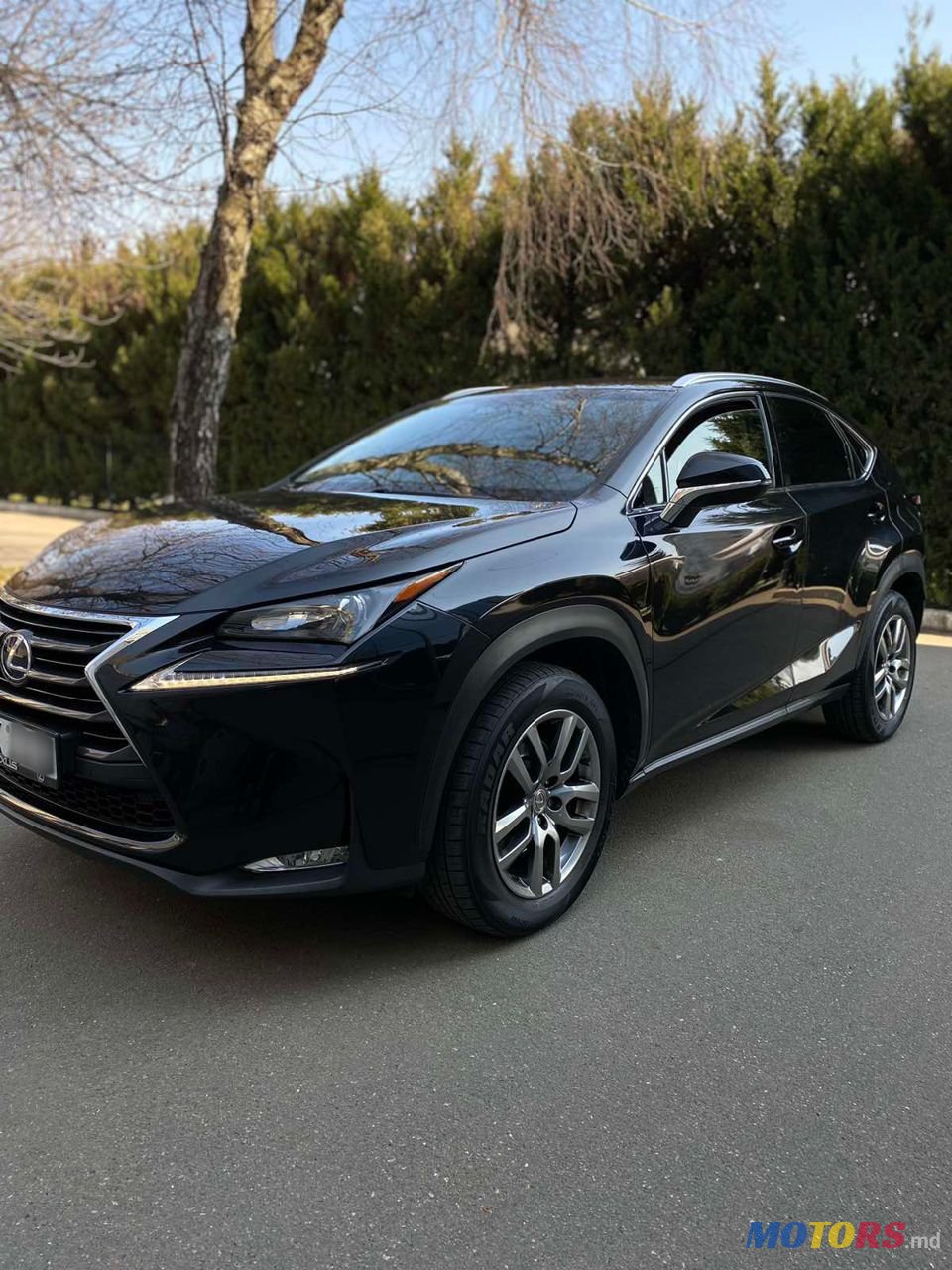 2015' Lexus Nx Series photo #1