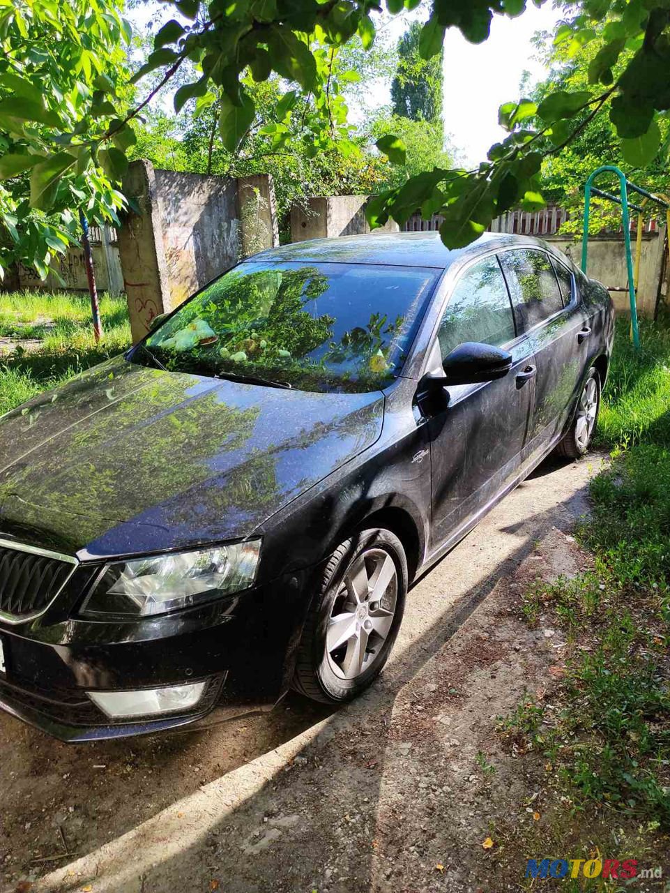 2015' Skoda Octavia photo #2