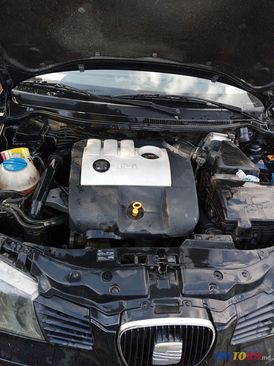 2005' SEAT Ibiza photo #6