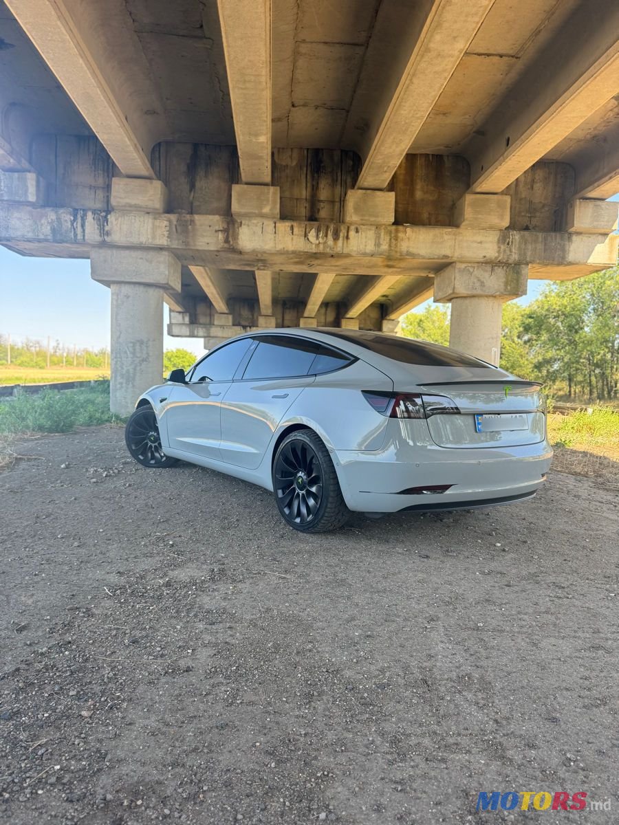 2019' Tesla Model 3 photo #6