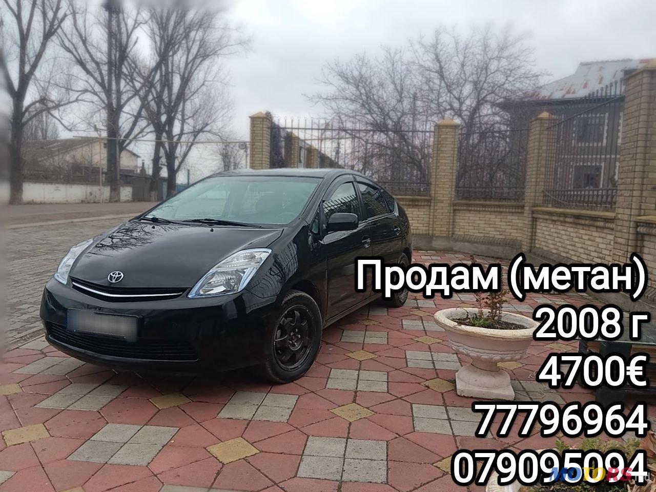 2008' Toyota Prius photo #2