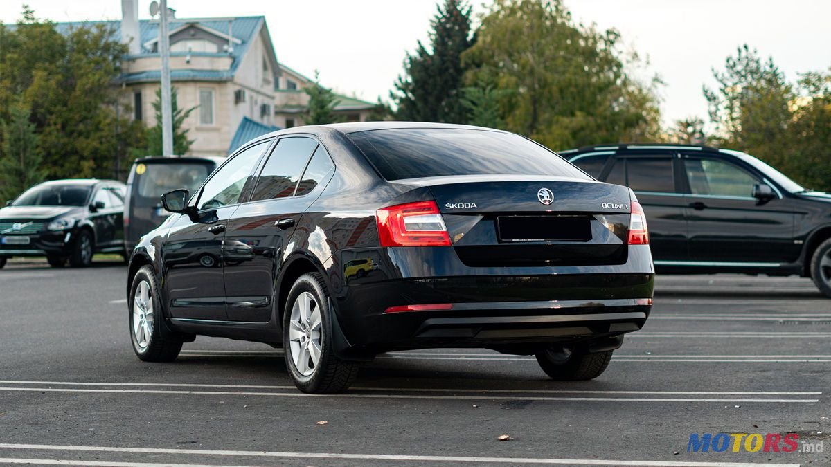 2018' Skoda Octavia photo #4