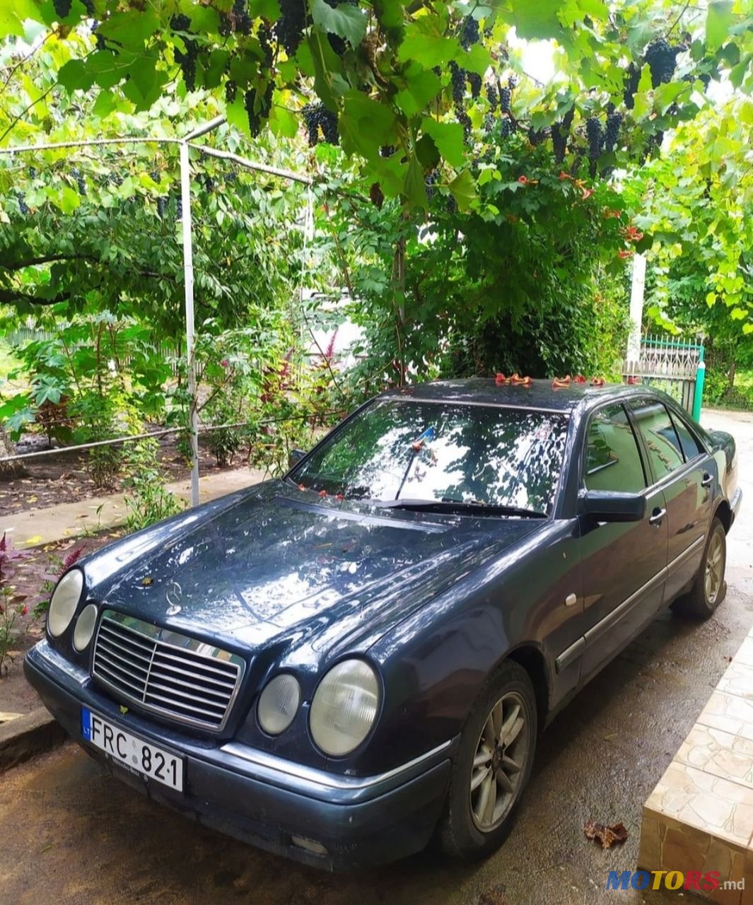 1997' Mercedes-Benz E Класс photo #1