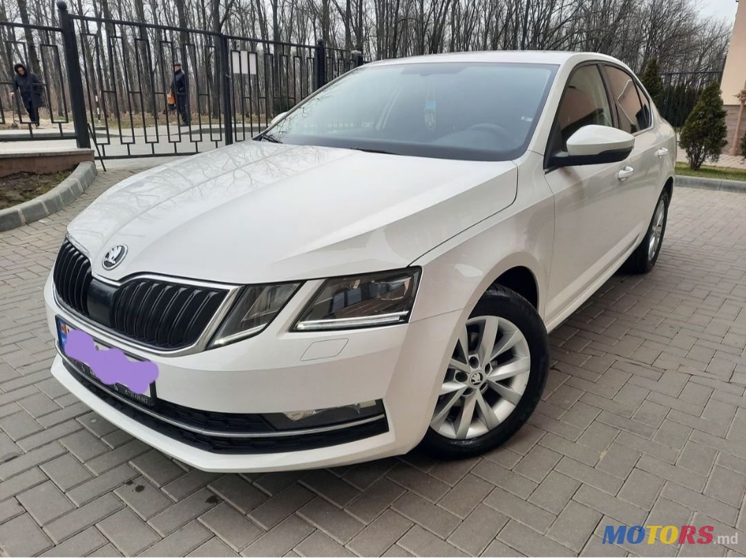 2017' Skoda Octavia photo #1