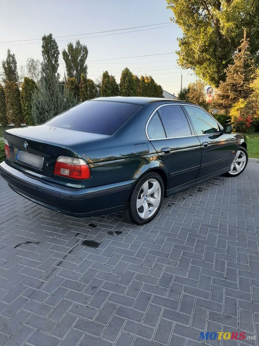 2001' BMW 5 Series photo #2