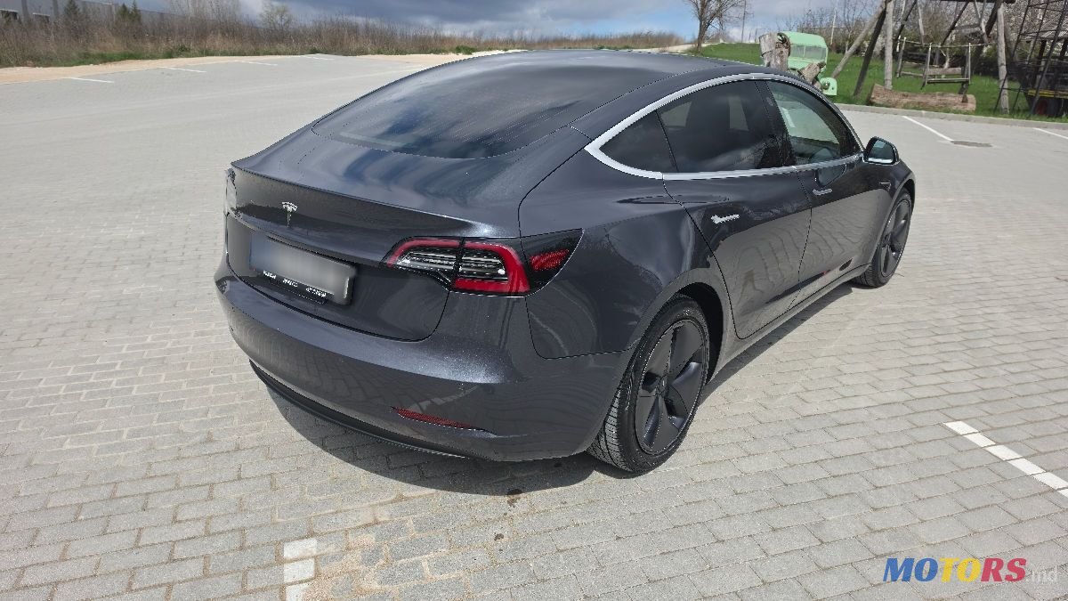 2019' Tesla Model 3 photo #5