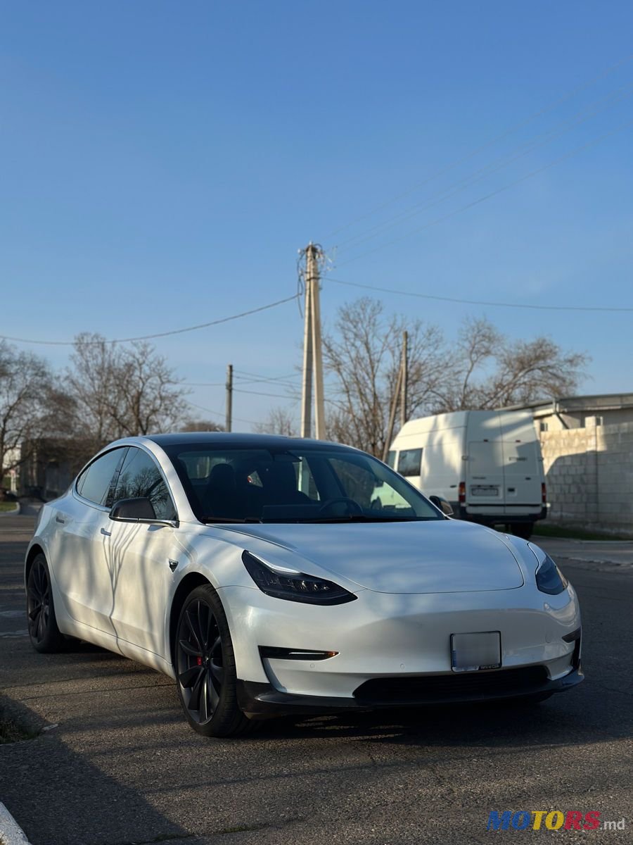 2019' Tesla Model 3 photo #3