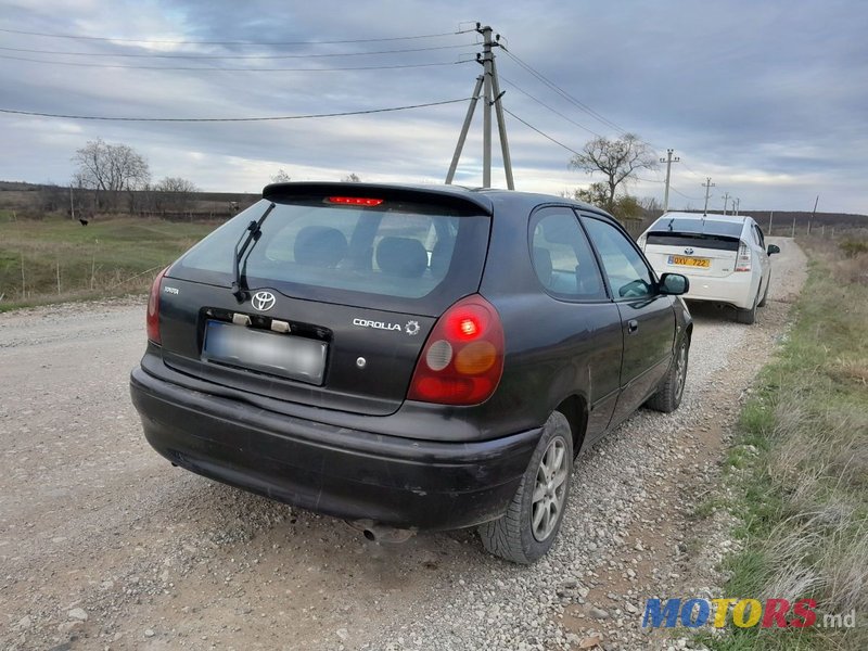 1999' Toyota Corolla photo #2