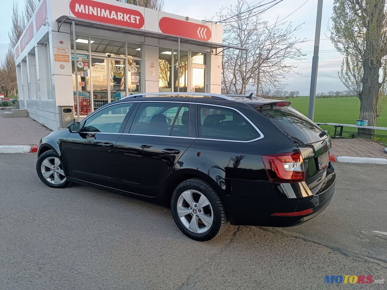 2019' Skoda Octavia photo #4