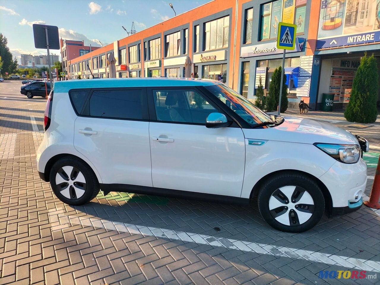 2015' Kia Soul photo #2