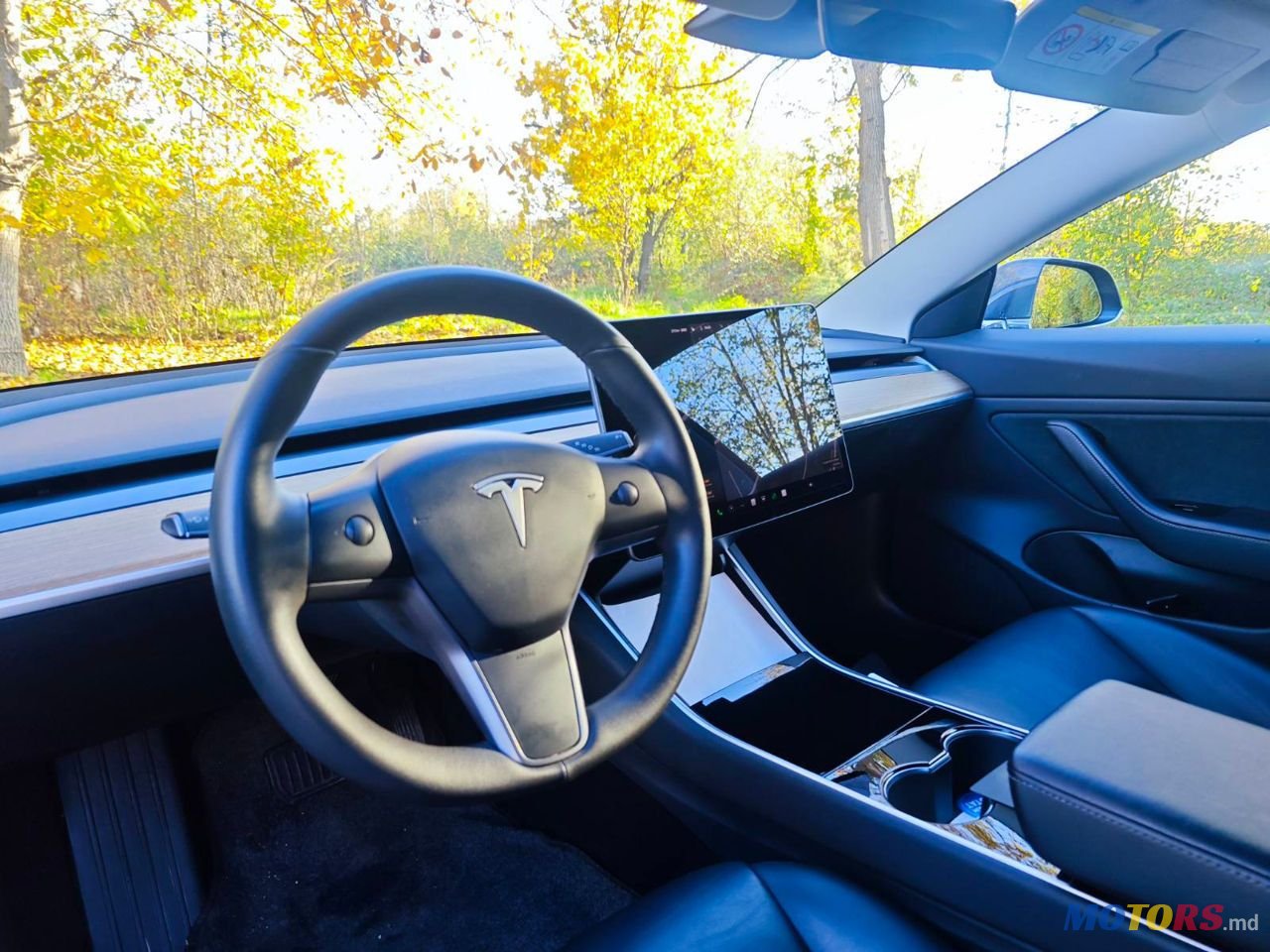 2020' Tesla Model 3 photo #5