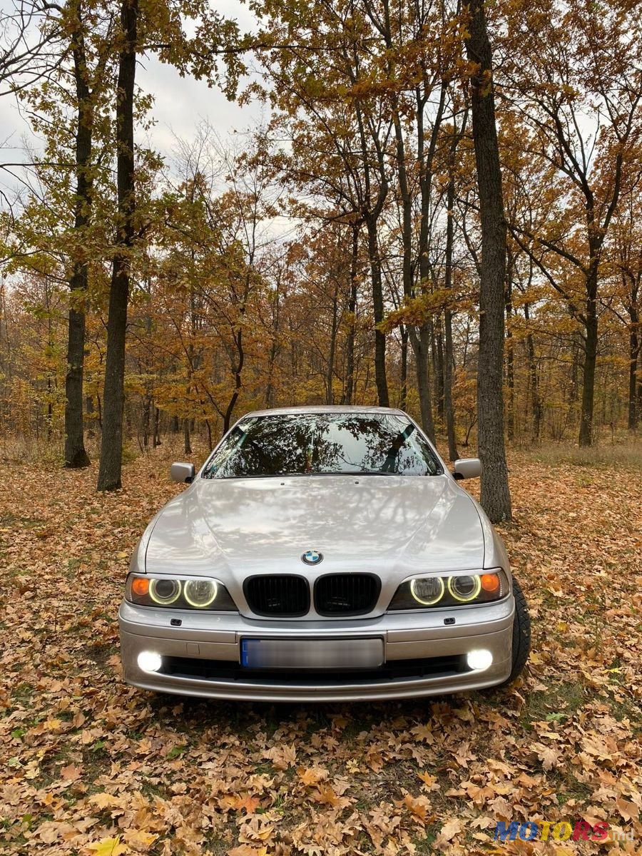 2001' BMW 5 Series photo #2
