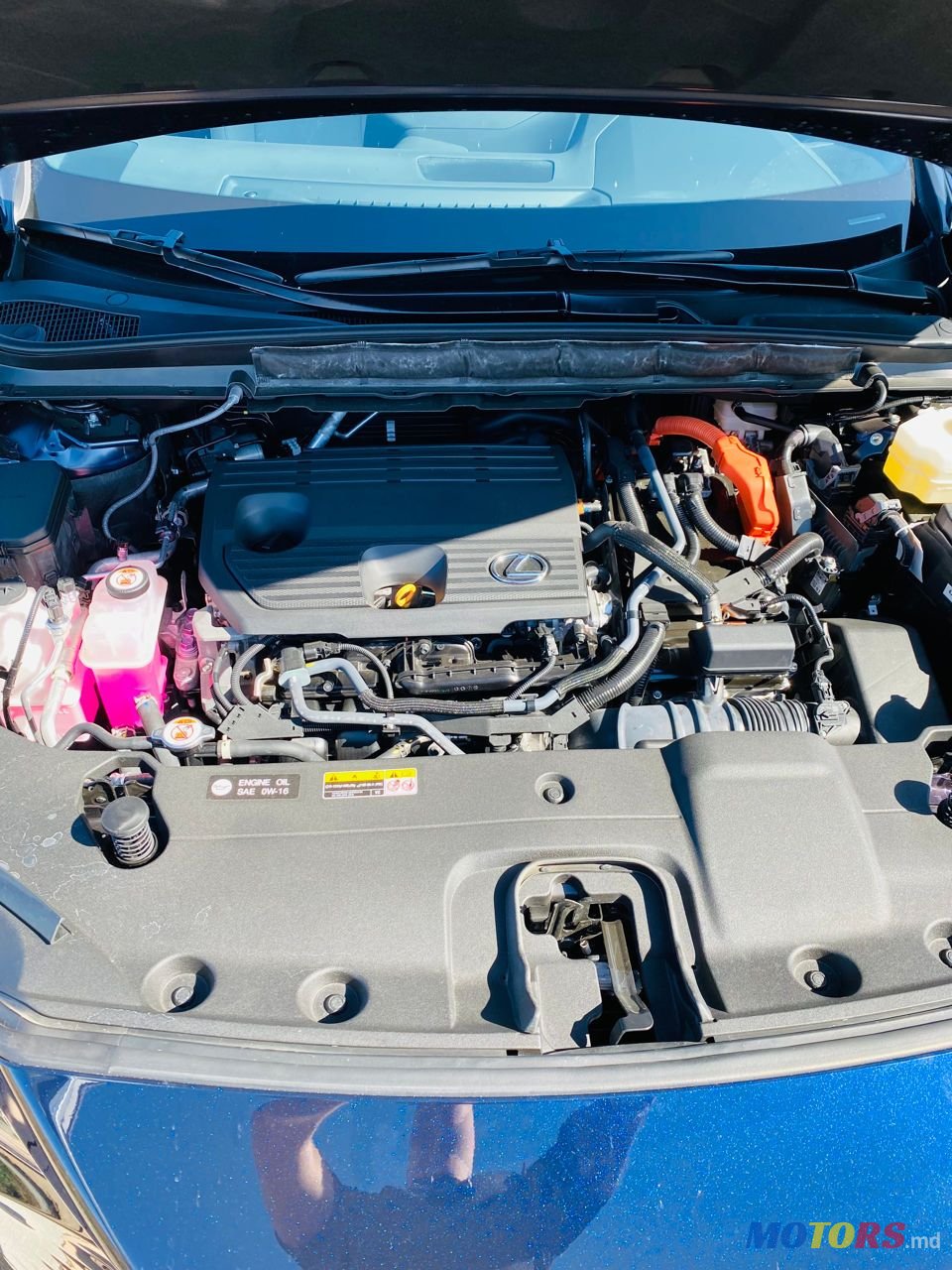 2023' Lexus Rx Series photo #5