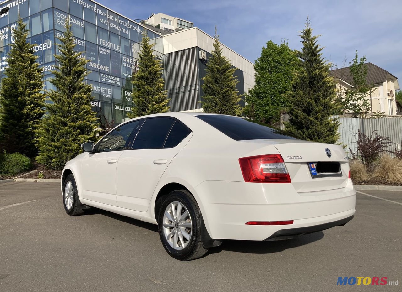 2017' Skoda Octavia photo #4