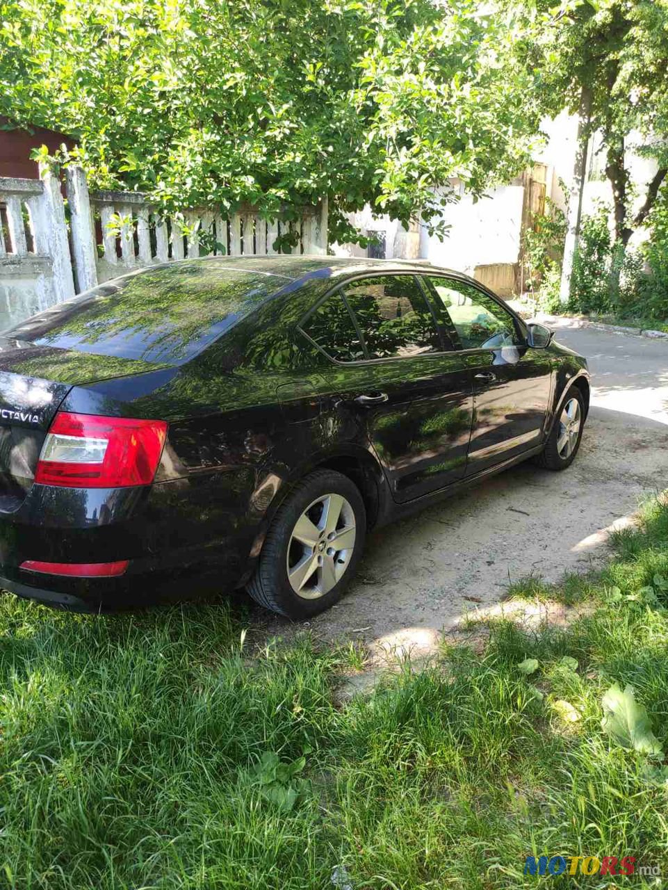2015' Skoda Octavia photo #4