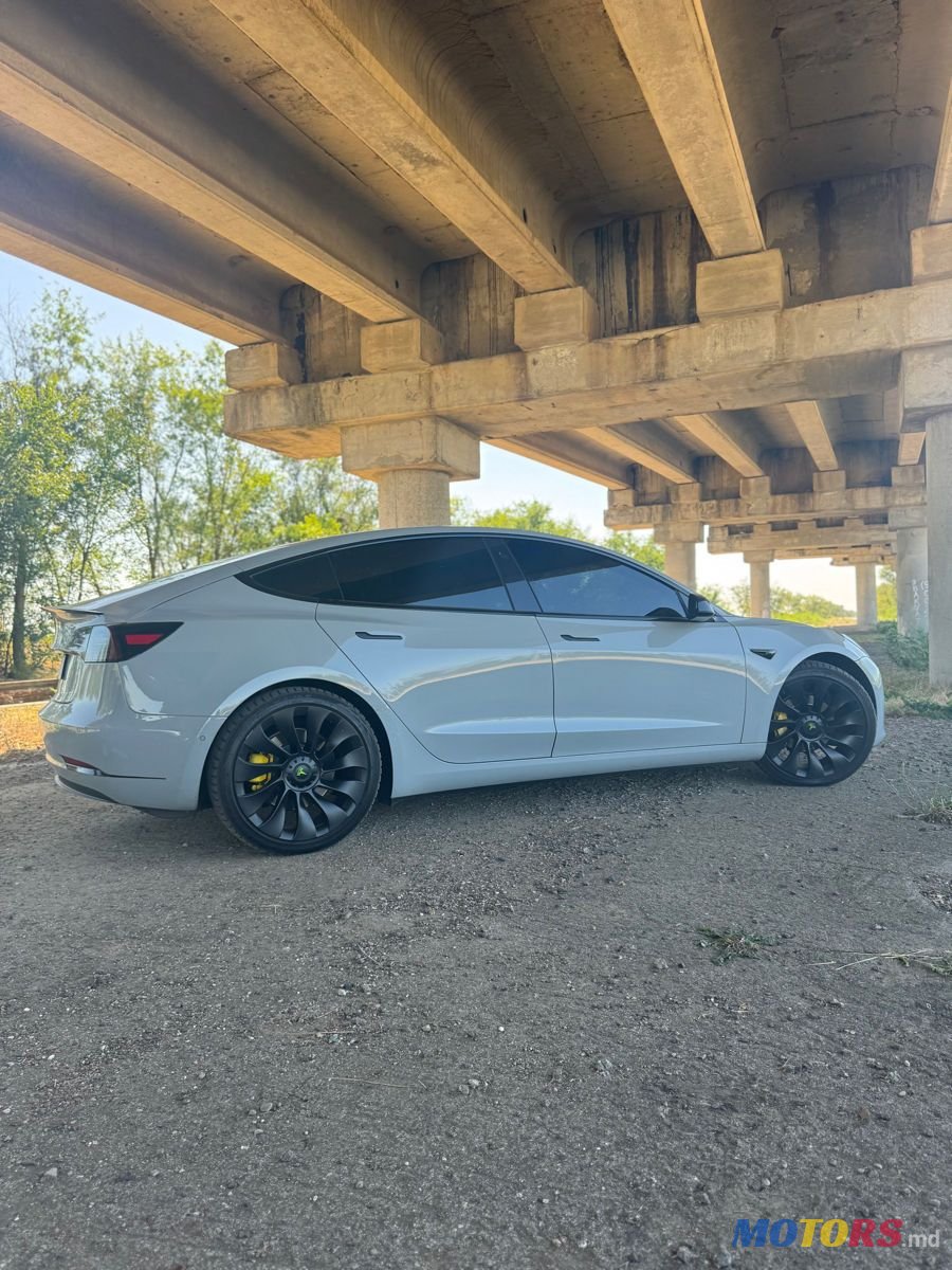 2019' Tesla Model 3 photo #4