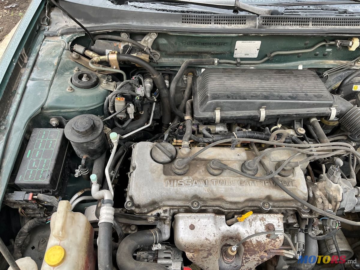 1996' Nissan Almera photo #2