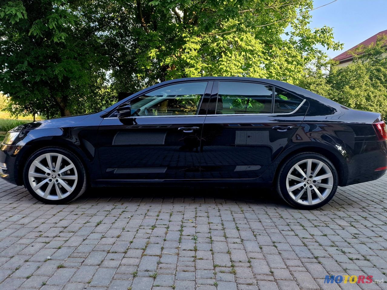2017' Skoda Octavia photo #4