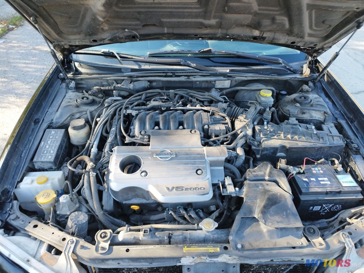 2000' Nissan Maxima photo #2