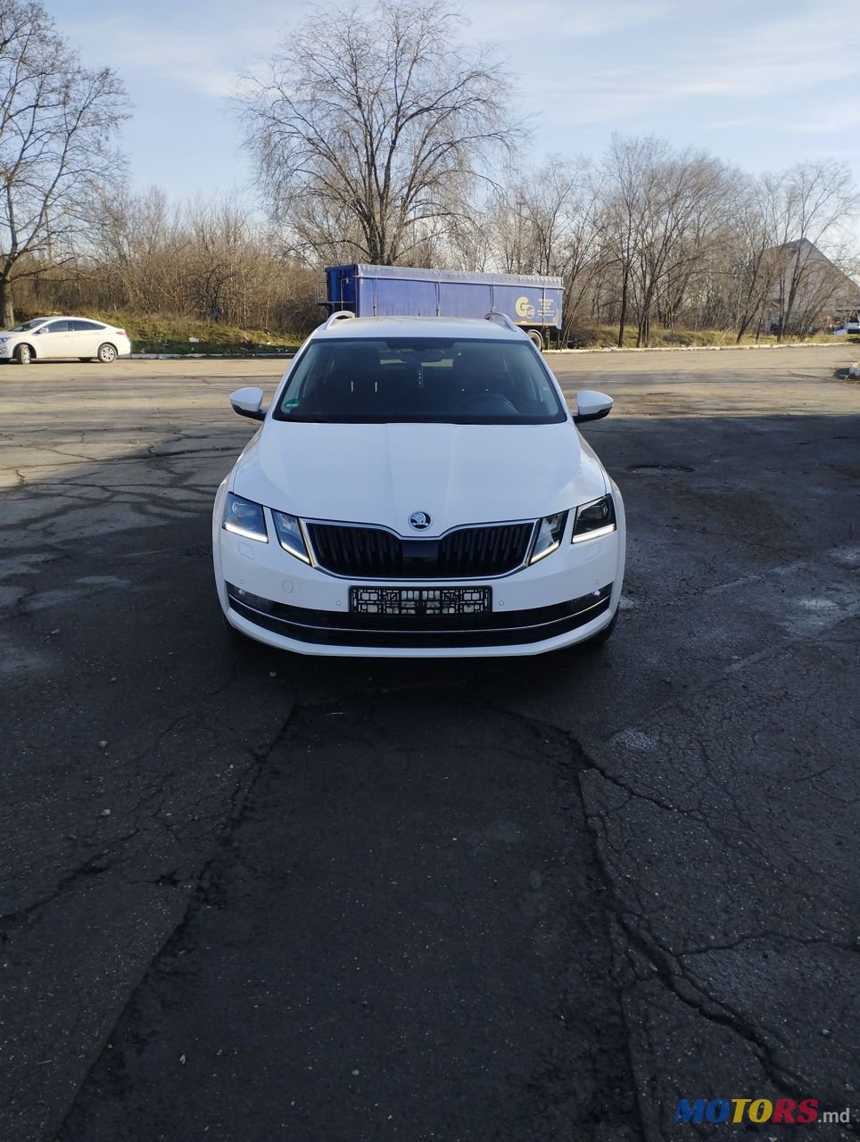 2019' Skoda Octavia photo #6