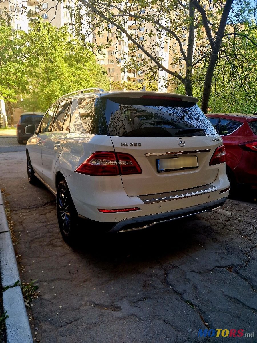 2015' Mercedes-Benz M-Class photo #4