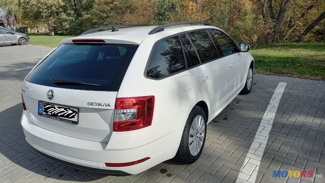 2019' Skoda Octavia photo #2