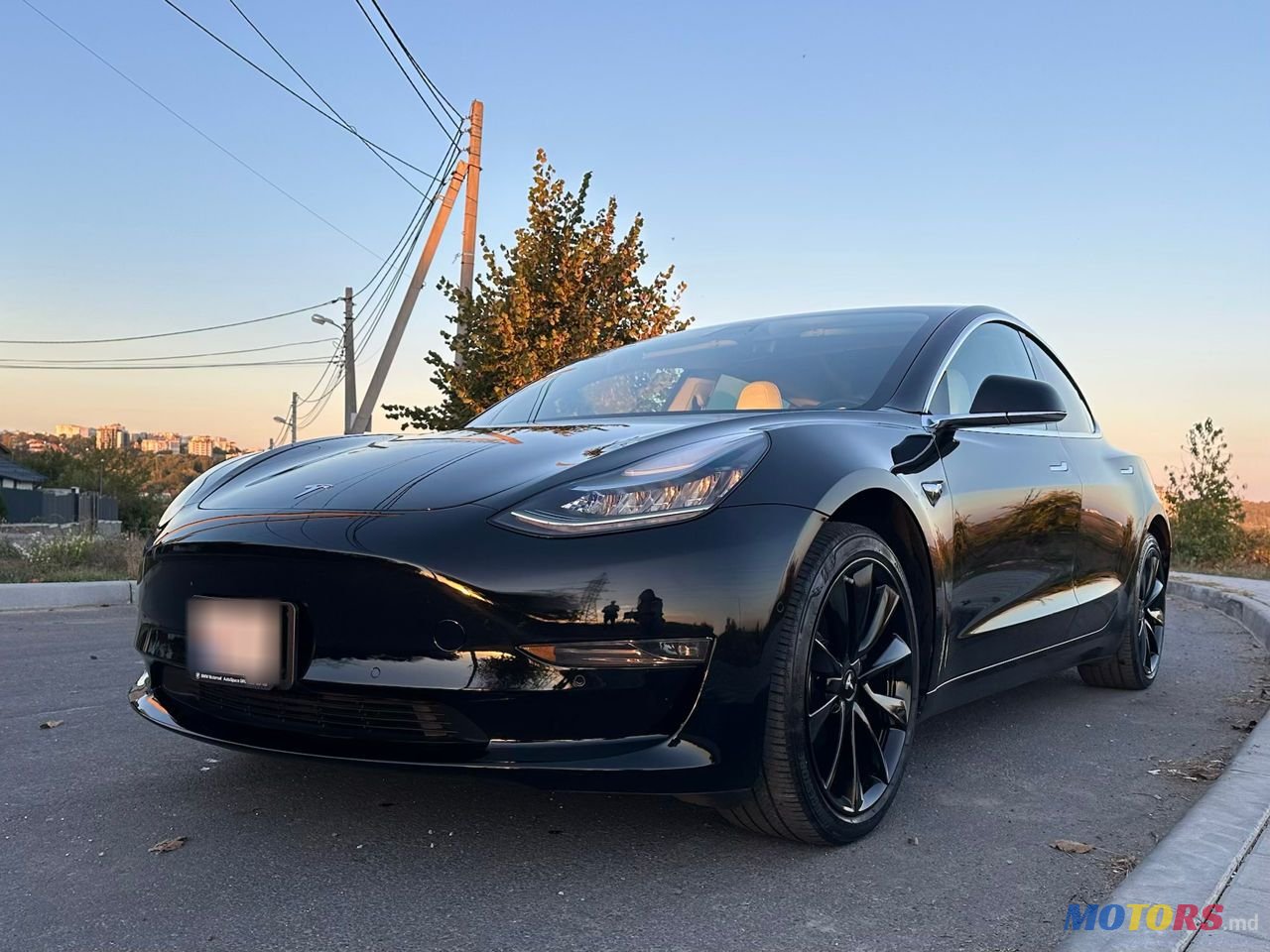 2019' Tesla Model 3 photo #6
