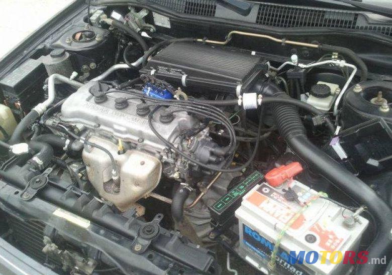 1993' Nissan Primera photo #3