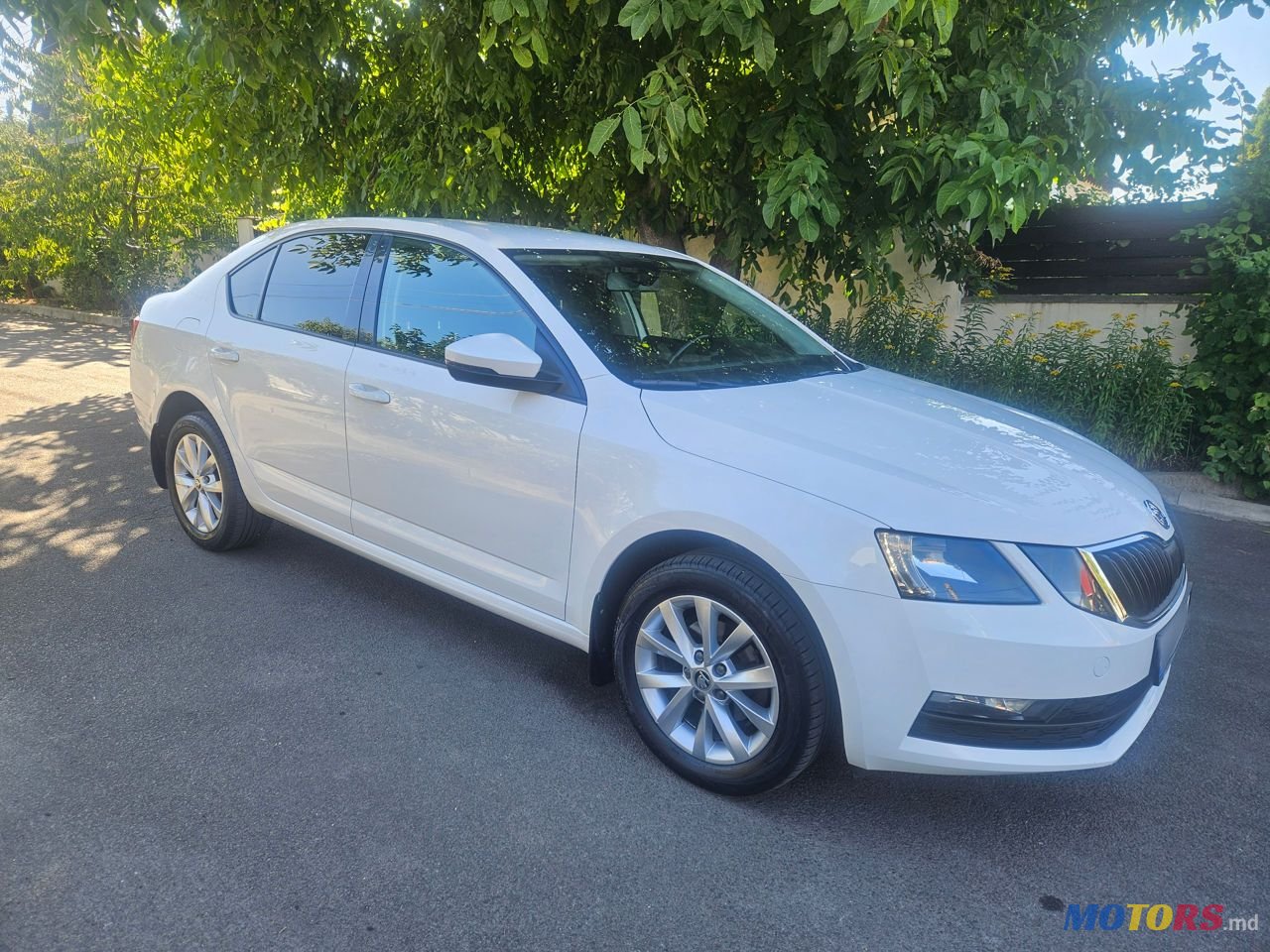 2018' Skoda Octavia photo #3