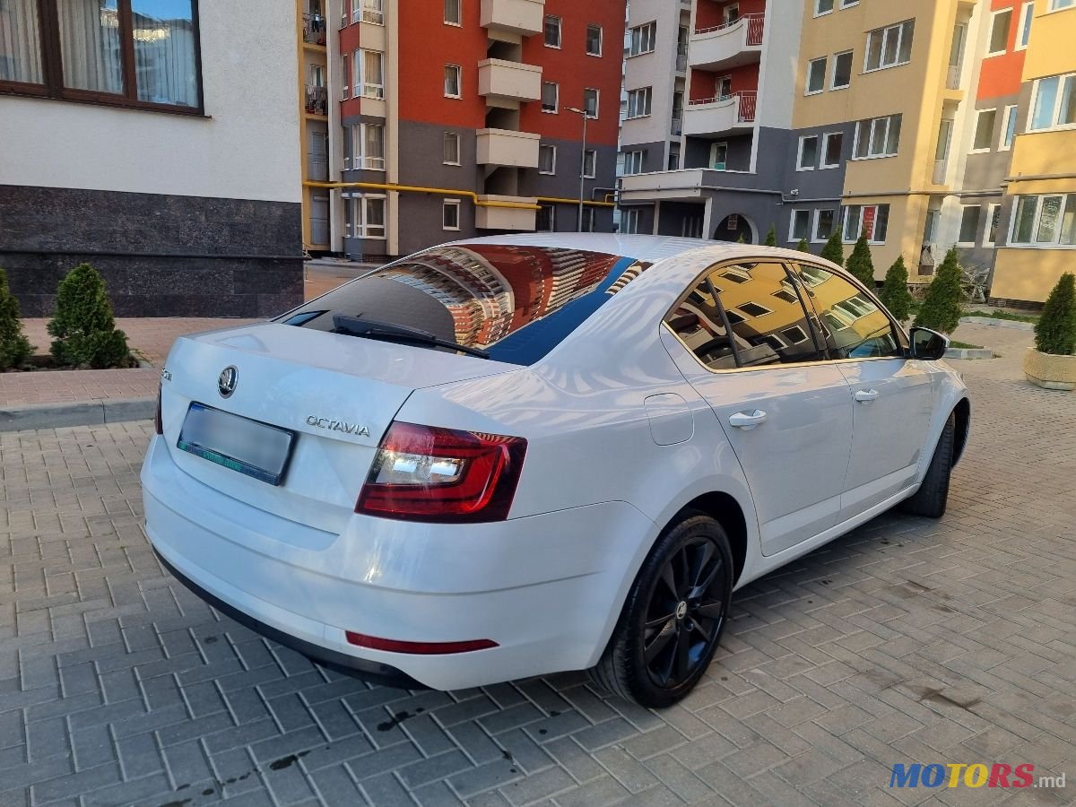 2018' Skoda Octavia photo #3