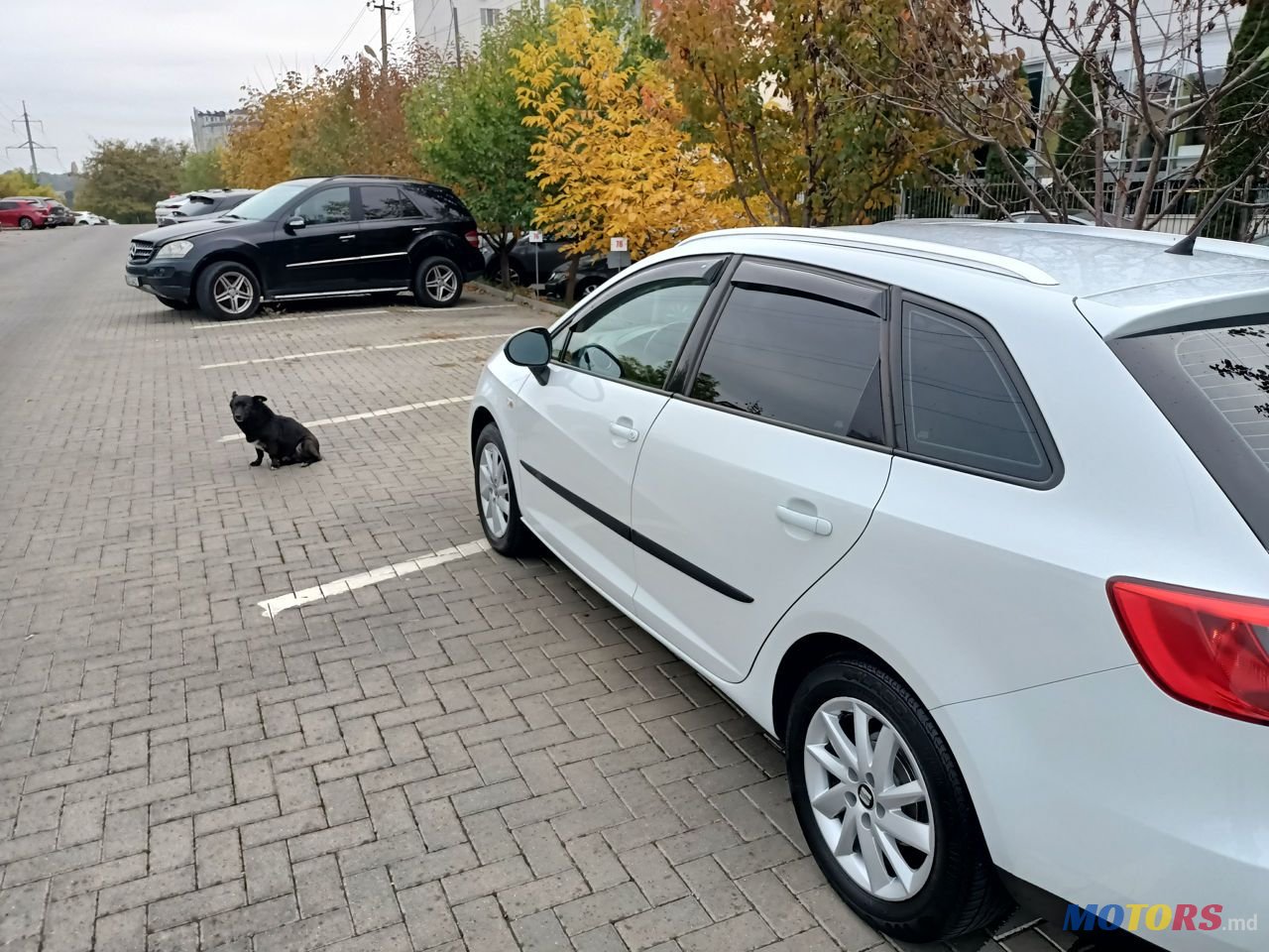 2012' SEAT Ibiza photo #3