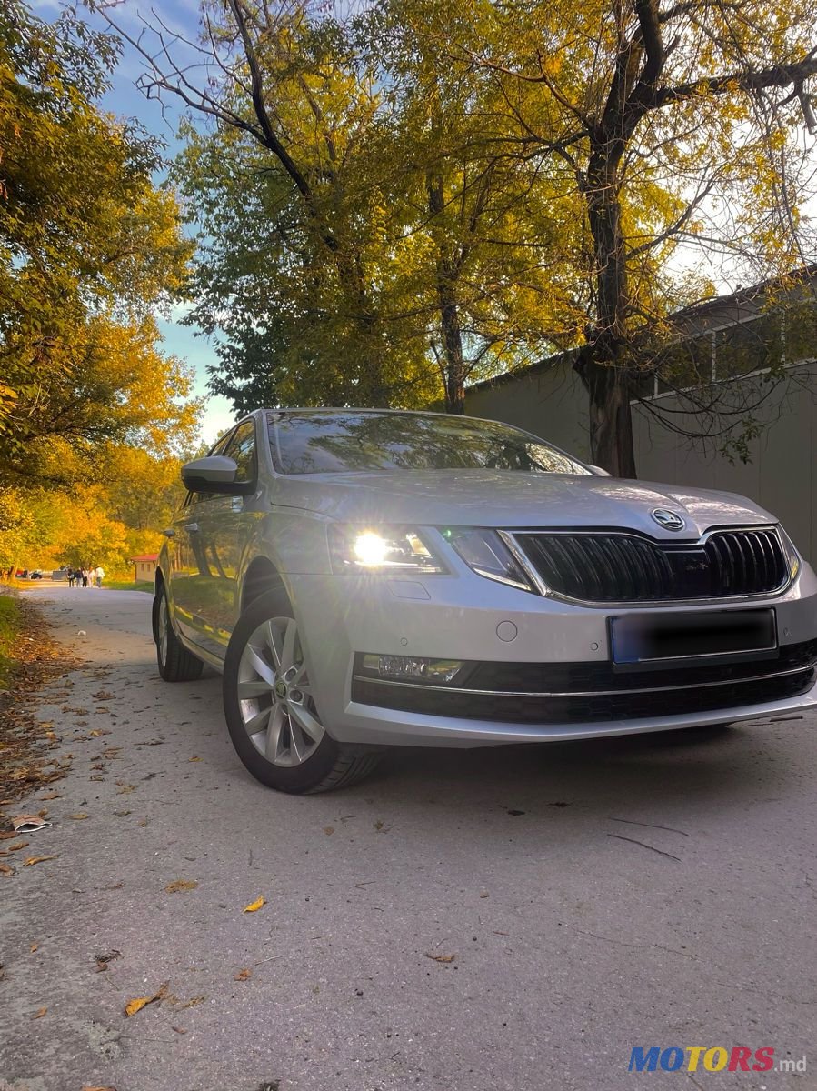2020' Skoda Octavia photo #6
