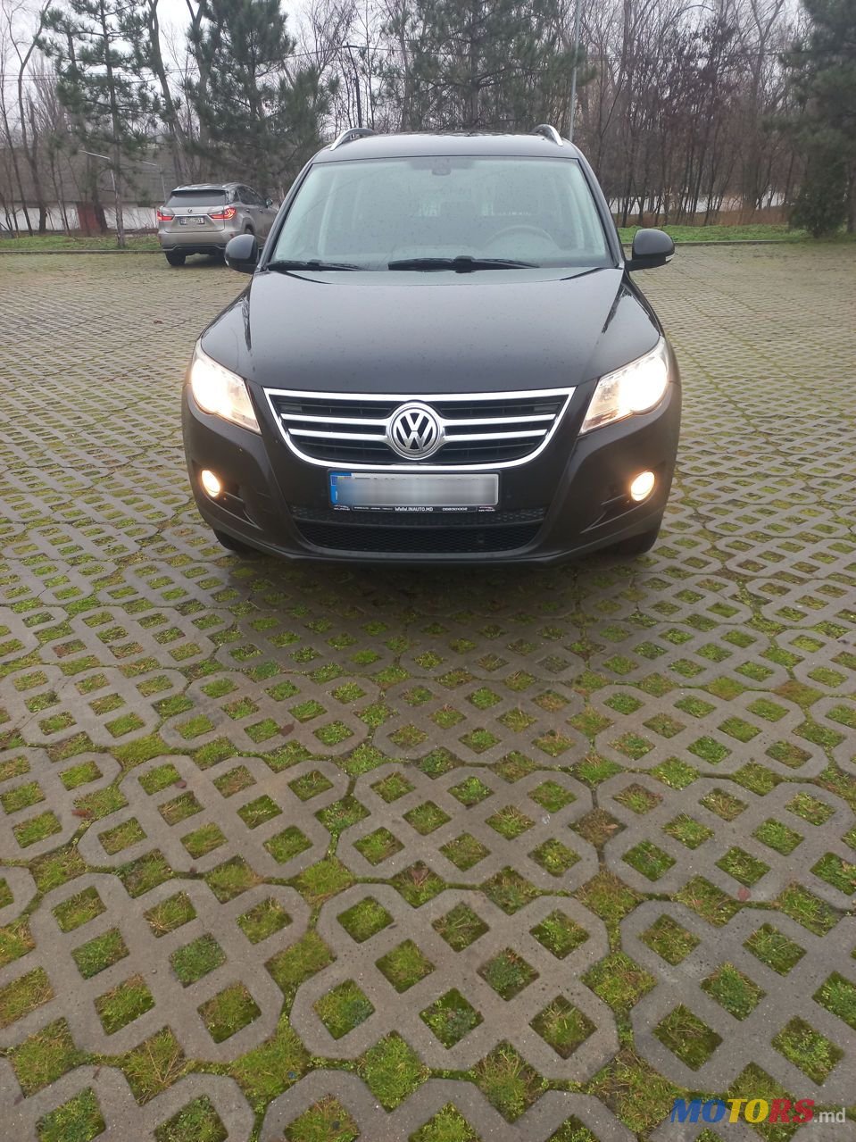 2010' Volkswagen Tiguan photo #1