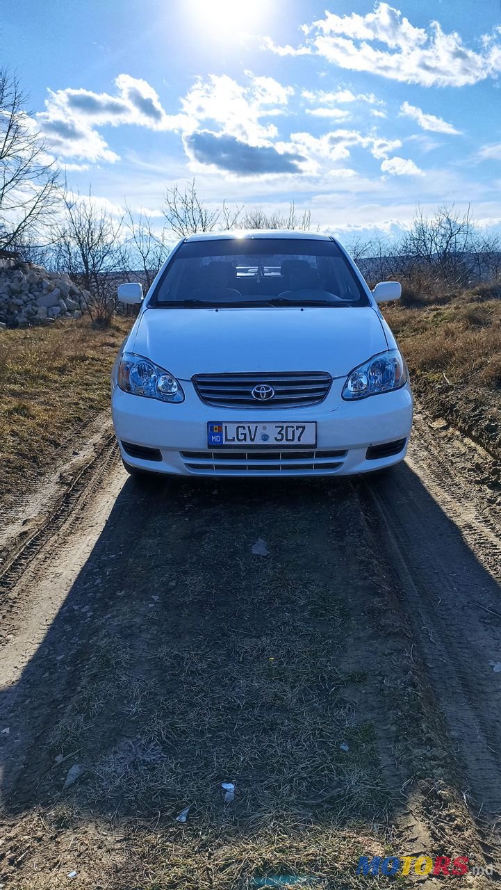 2004' Toyota Corolla photo #1