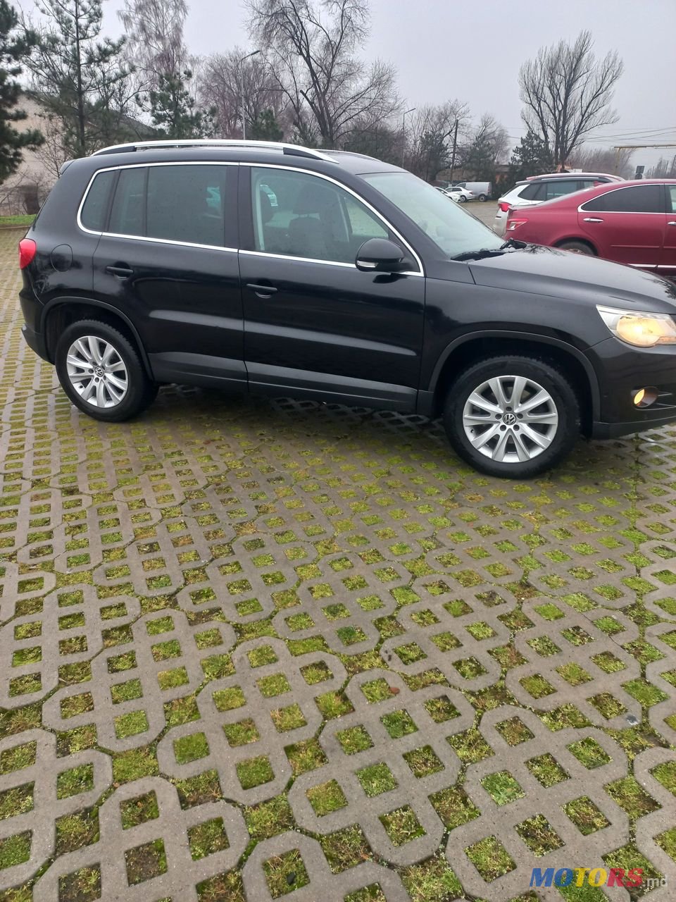 2010' Volkswagen Tiguan photo #4