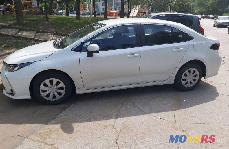 2019' Toyota Corolla photo #1