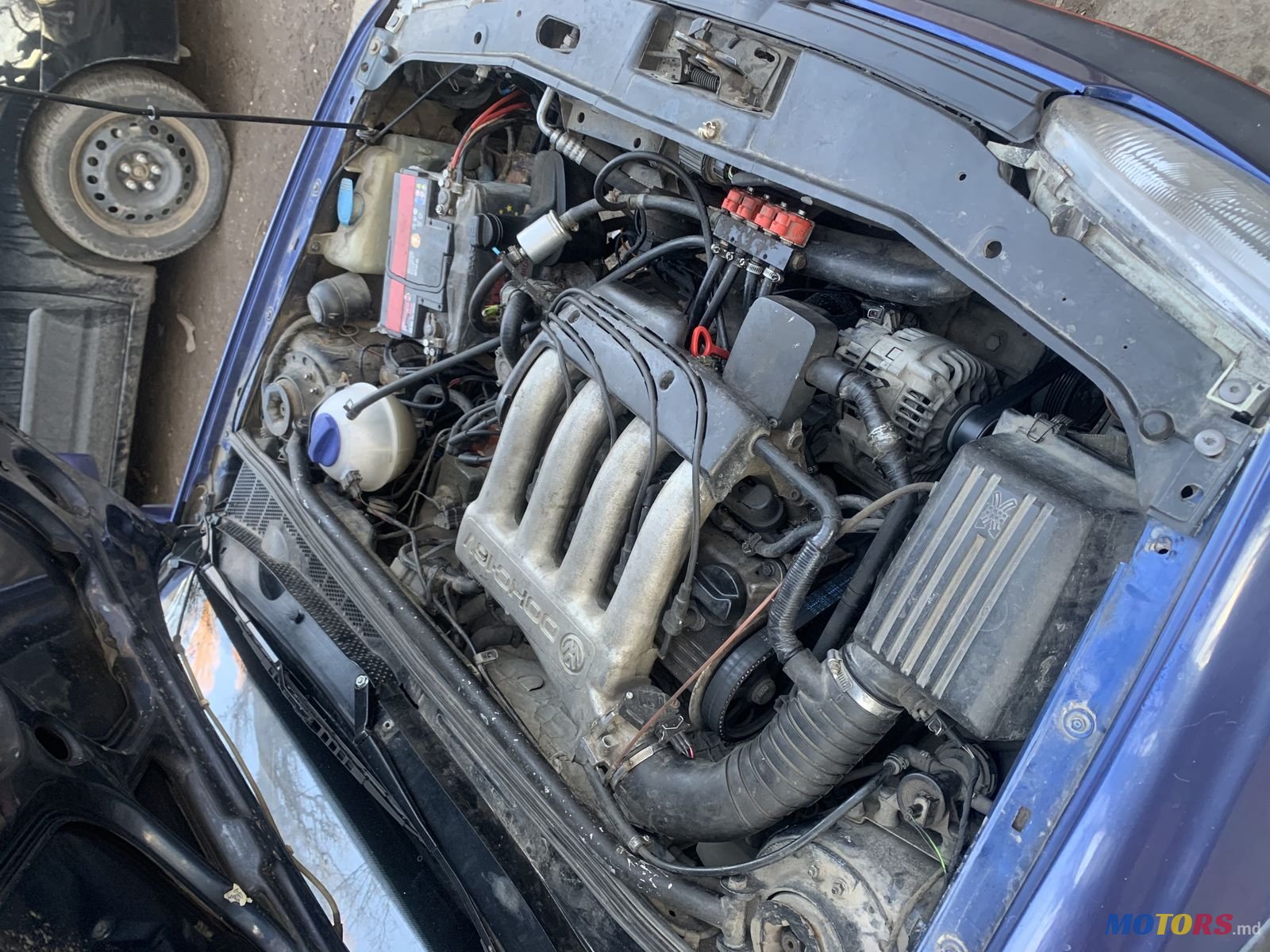 1994' Volkswagen Golf GTI photo #1