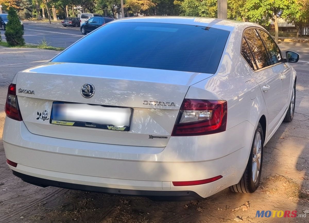 2018' Skoda Octavia photo #3