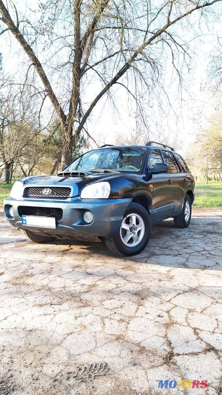 2003' Hyundai Santa Fe photo #1