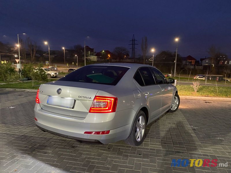 2013' Skoda Octavia photo #2