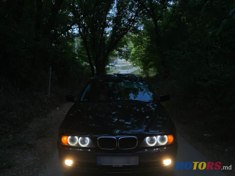 2002' BMW 5 Series photo #1