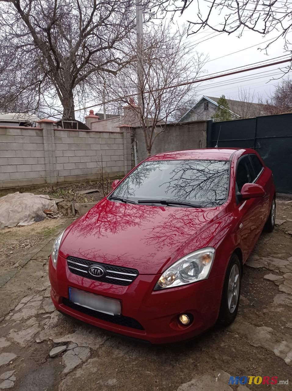 2009' Kia Ceed photo #2