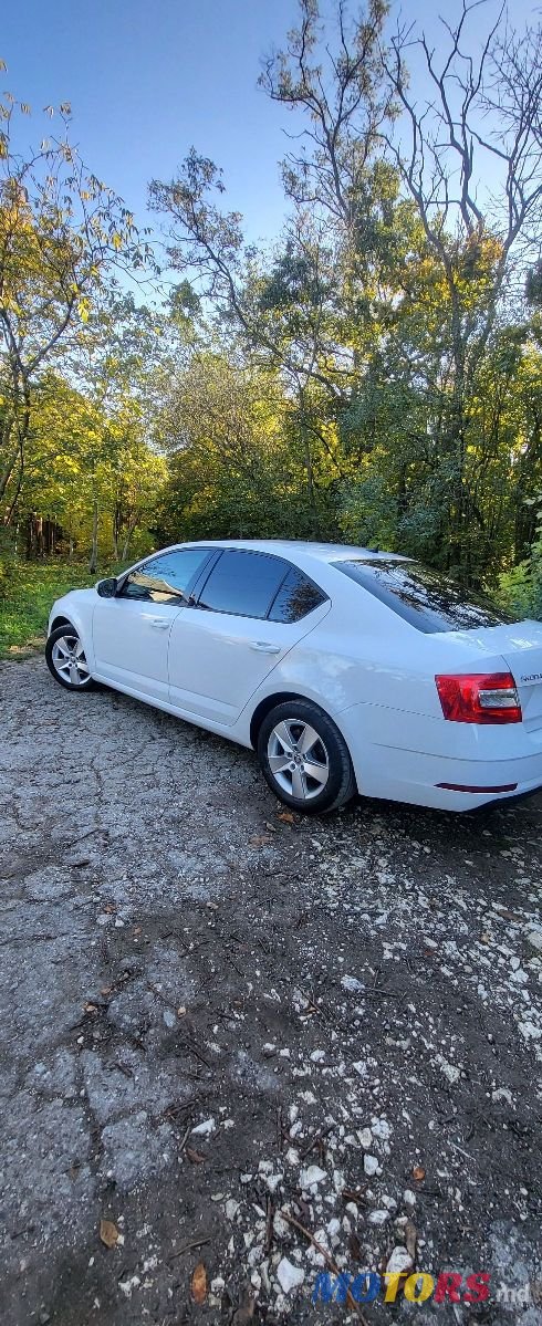 2019' Skoda Octavia photo #2